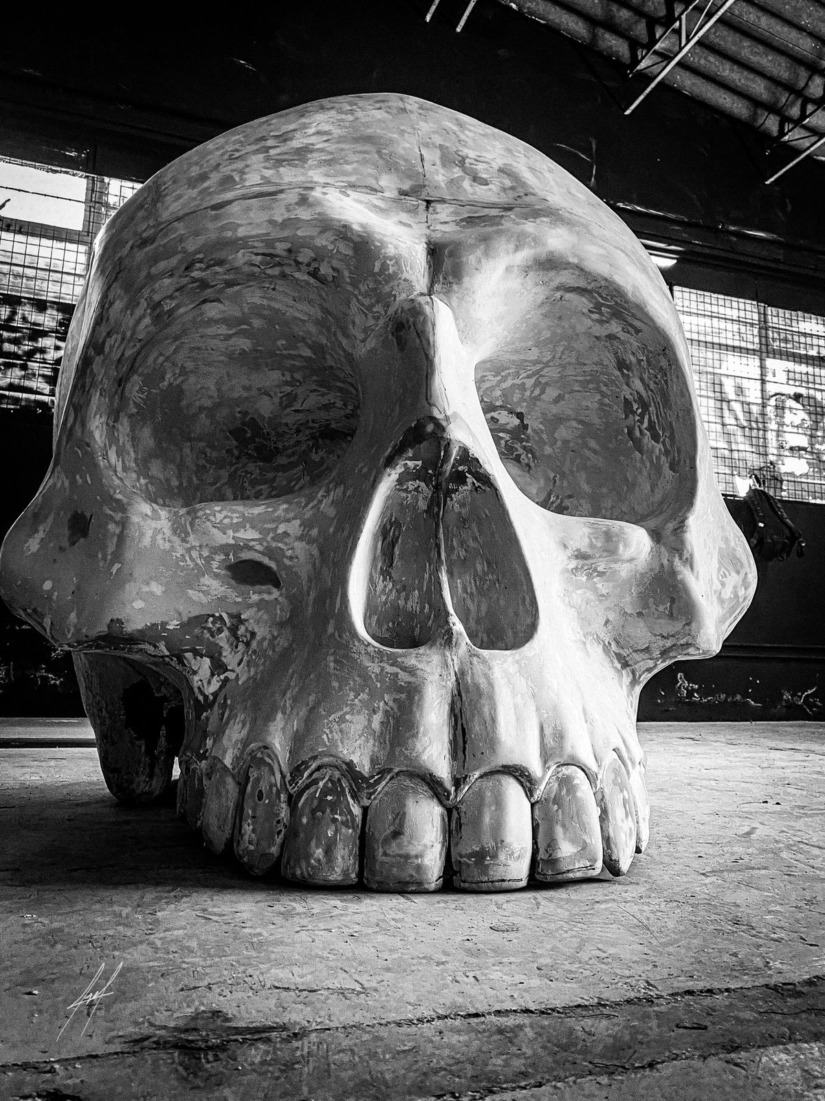 skull and art