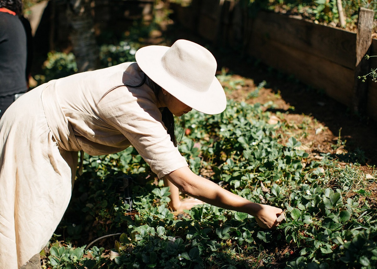 mujer sombrero agricultura campo cultivo plantas