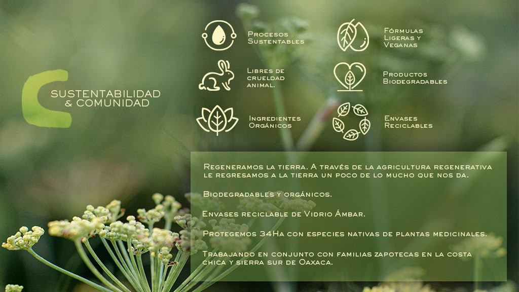 remedios del bosque sustentabilidad