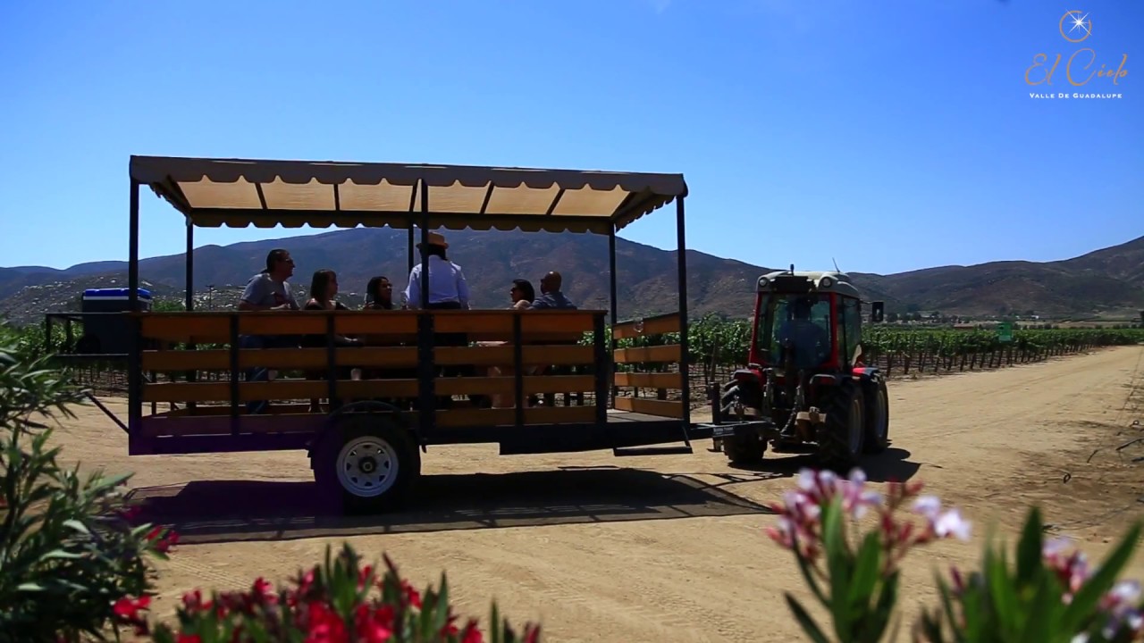 carreta valle de guadalupe baja california ruta del vino