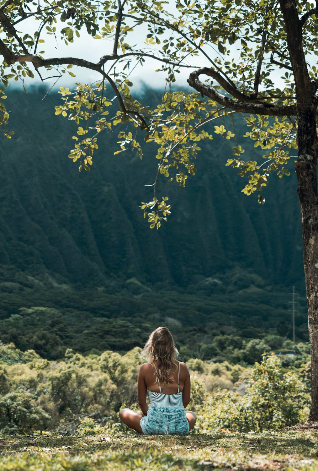 mujer meditando yoga campo naturaleza