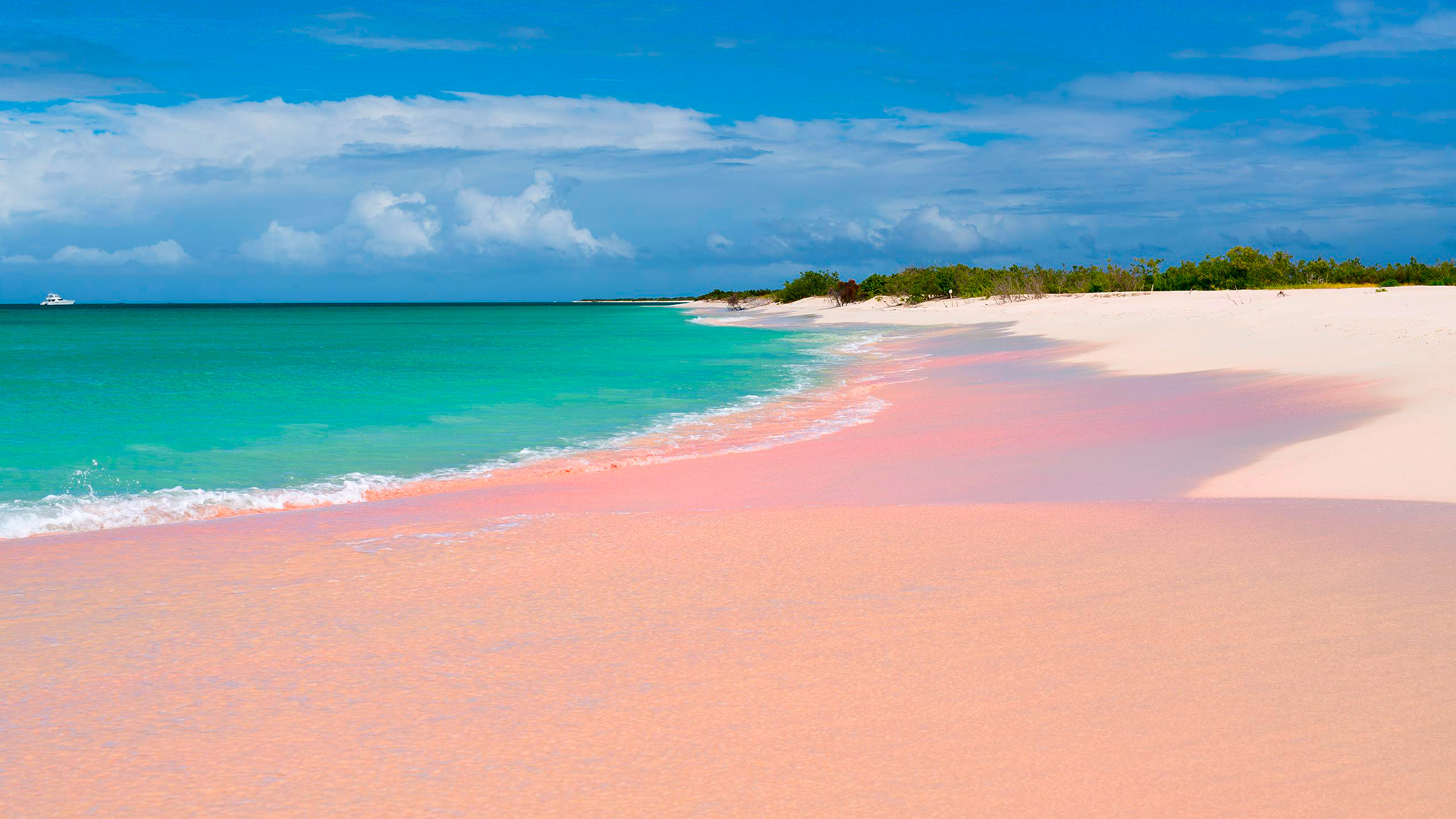 arena playa rosa harbour island bahamas