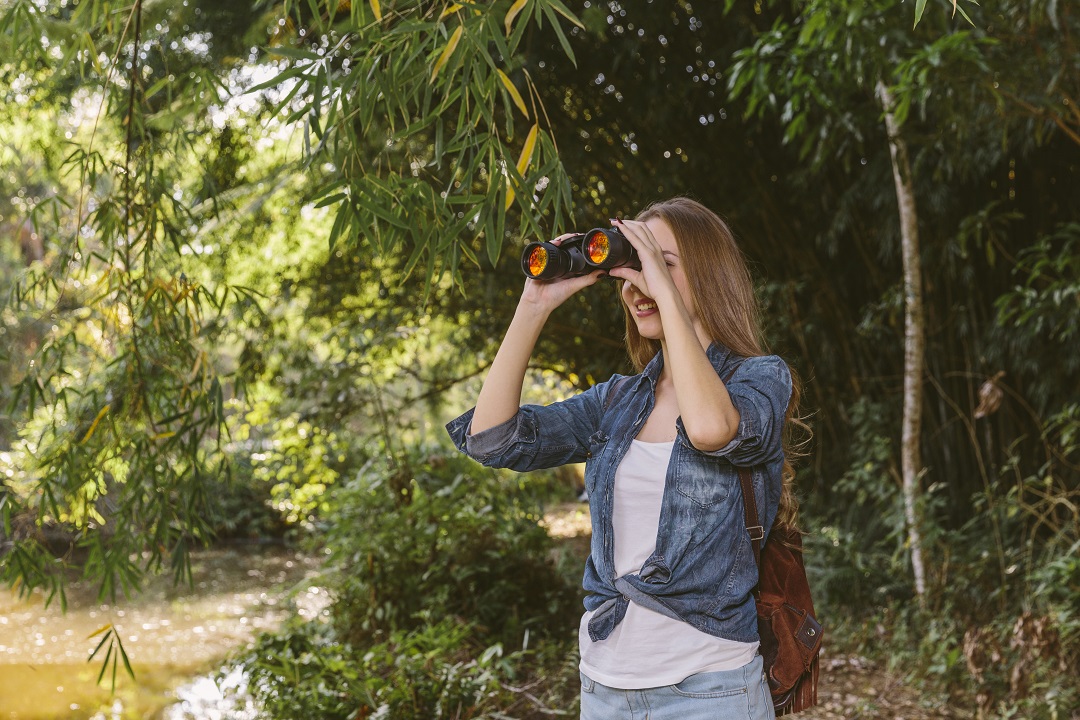 mujer excursionista mujer mirando a través de binoculares en el bosque