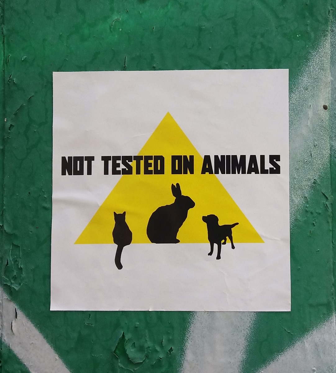 Cruelty free no tested animales prueba