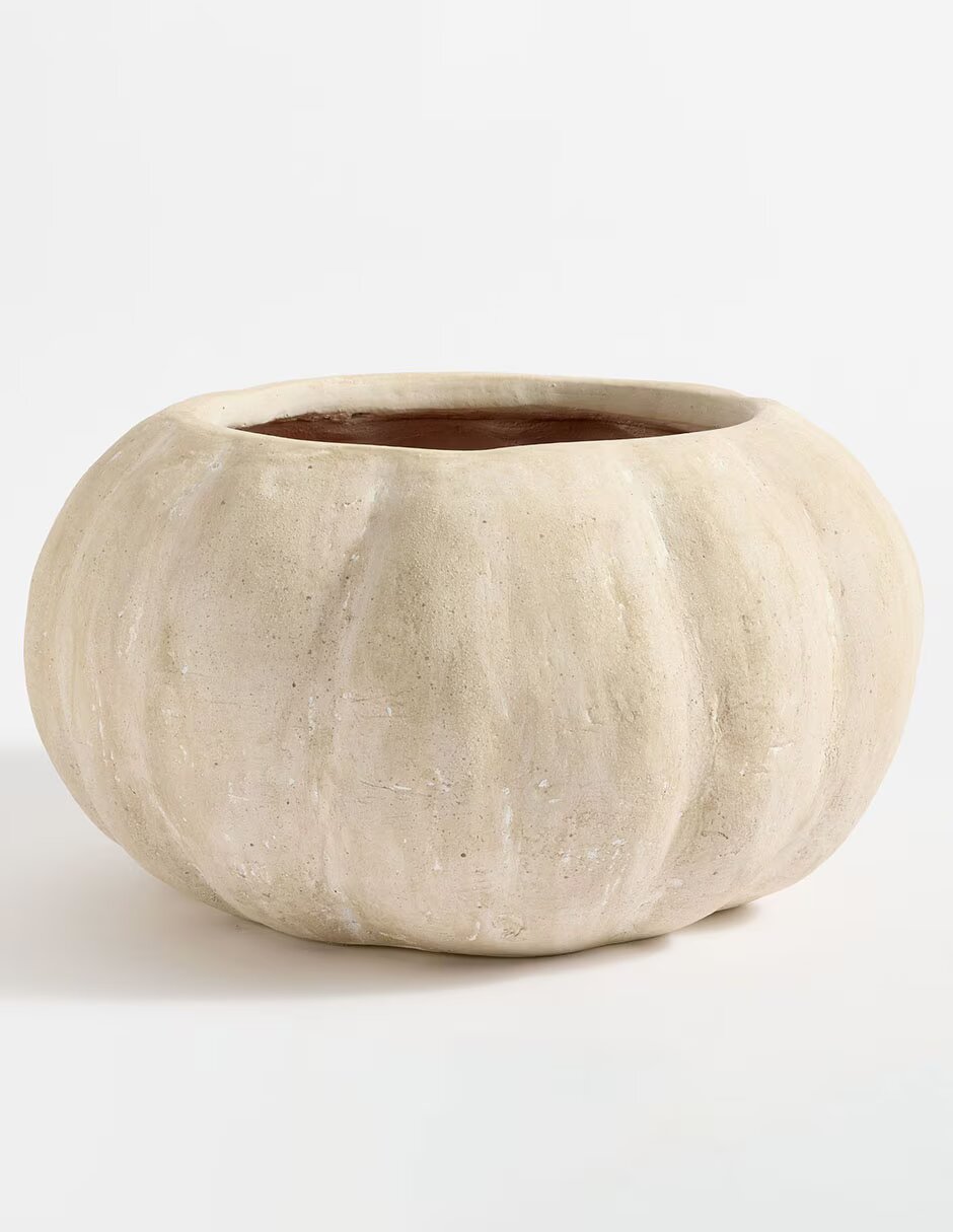 Maceta Pumpkin Cachepo de arcilla de Pottery Barn