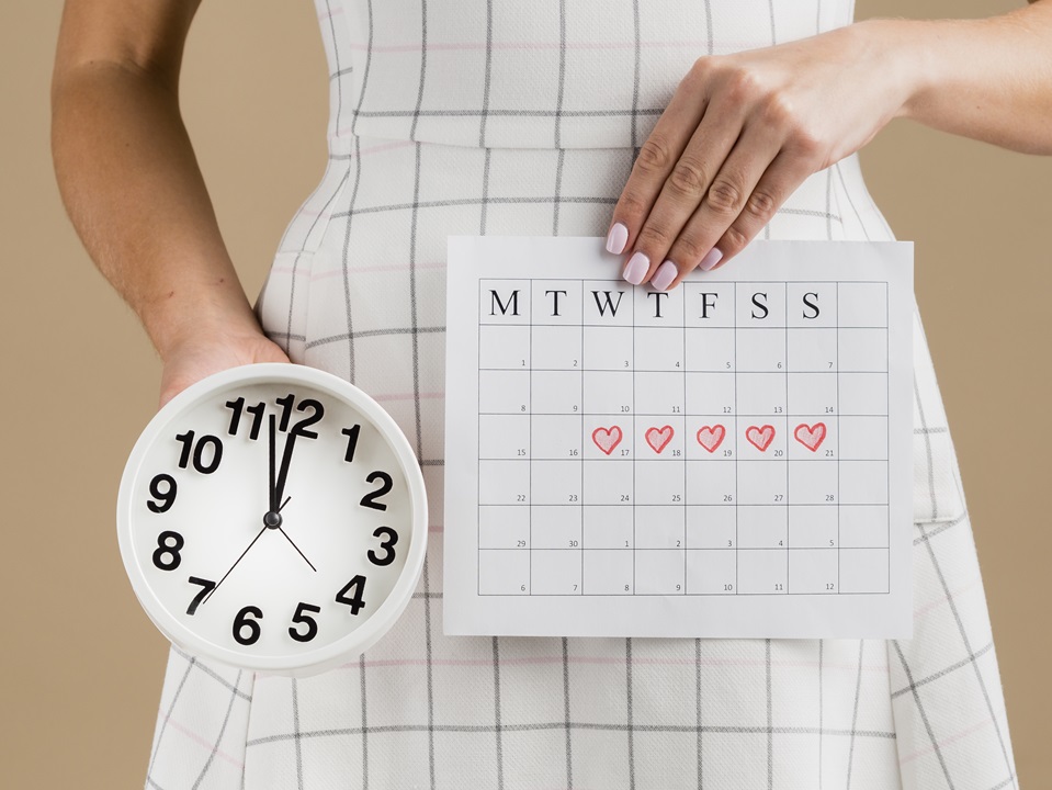 calendario días fértiles fertilidad periodo ovulación embarazo menstruación