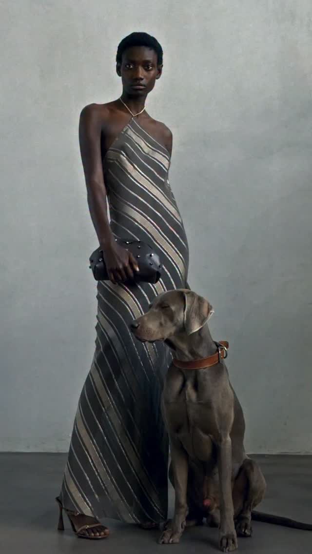 Stella McCartney perrito vestido halter rayas